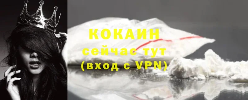 COCAIN Fish Scale  блэк спрут рабочий сайт  Краснознаменск 